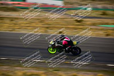 media/Feb-16-2024-CRA (Fri) [[3bc3e7055d]]/Group B/Session 7 (Turn 1)/